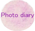Photo diary